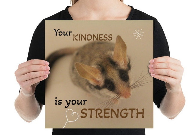 Asian Garden Dormouse Mental Health art poster